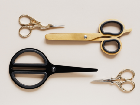 The evolution of the scissors