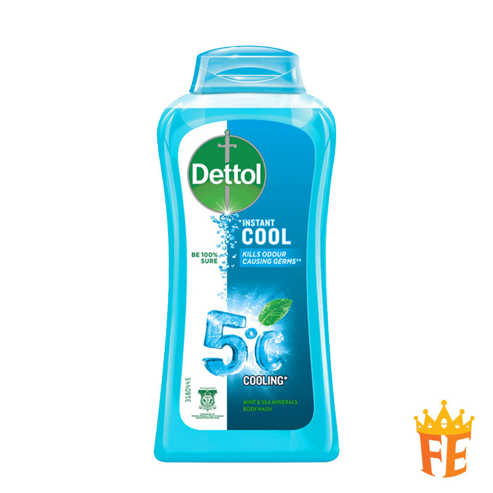 Dettol Shower Gel 250gsm (Bottle) All Flavour