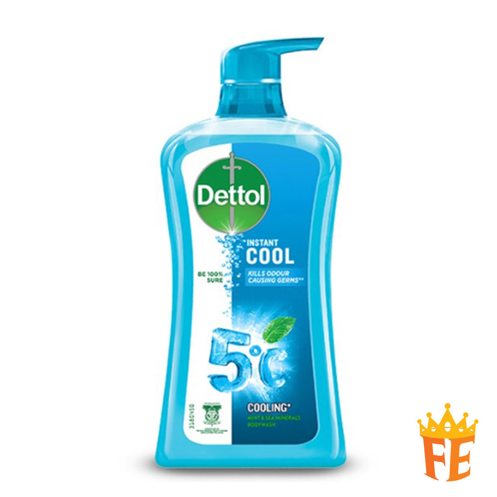 Dettol Shower Gel 500gsm (Bottle) All Flavour
