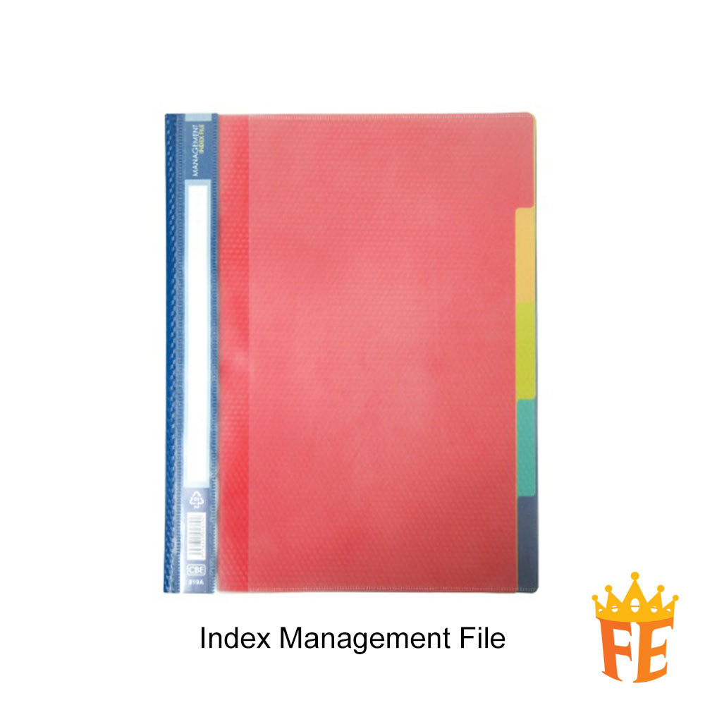 CBE 819A Index Management File