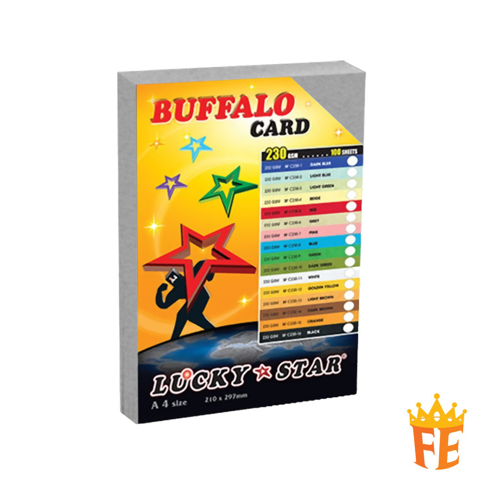 Luck Star Fancy Card / Buffalo Skin A4 / A3 230gsm 100 Sheets All Colour